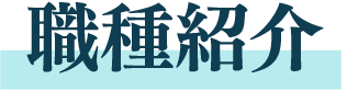 職種紹介